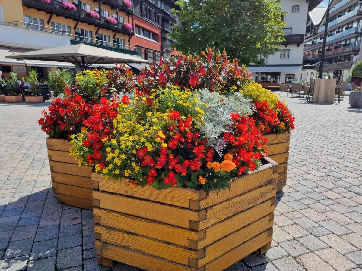 Appartement Bergsee - einfach wohlfühlen! Seefeld in Tirol Exterior foto